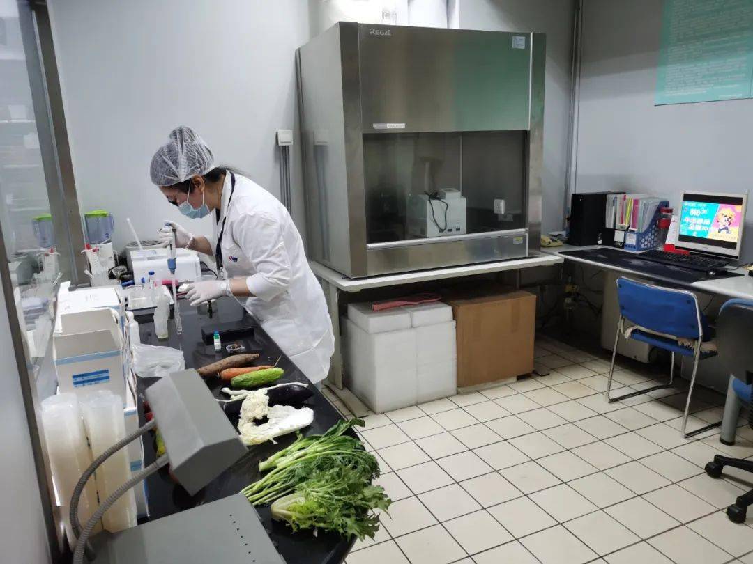 神农架食品检测实验室装修方案